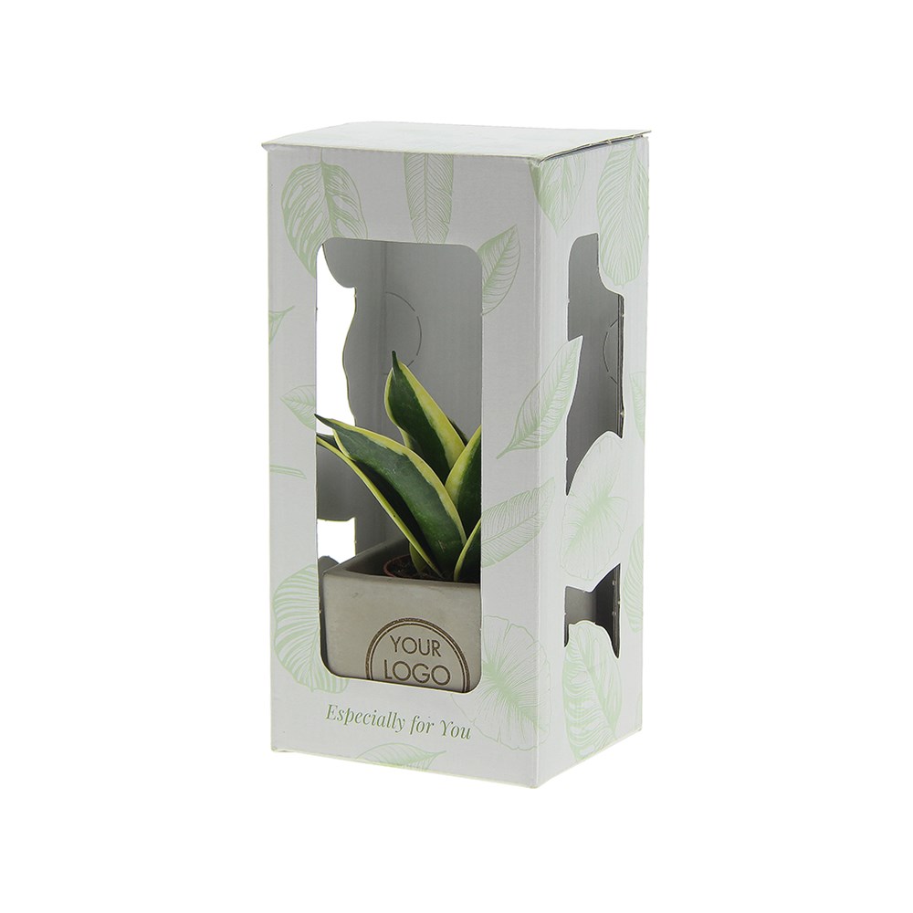 Congreetz® plantpots in giftbox