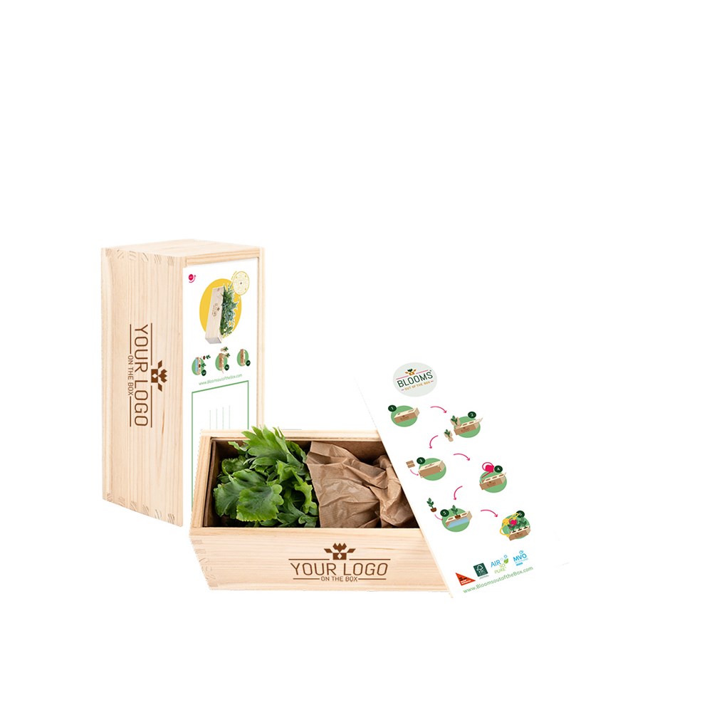 Herbs out of the Box - M