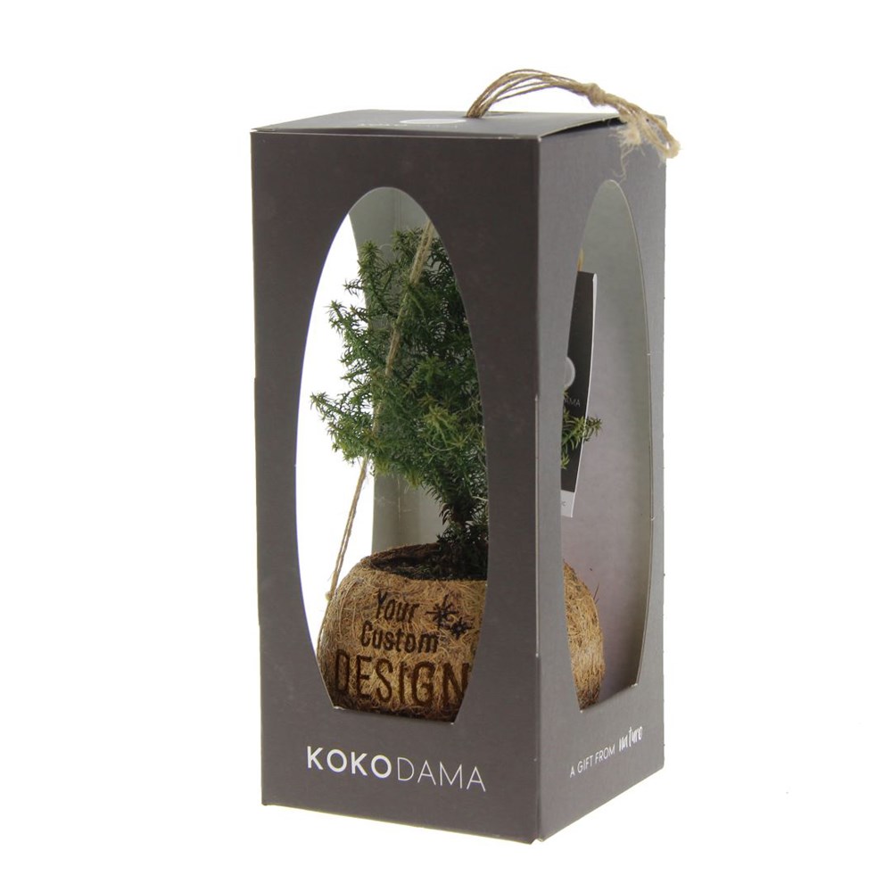 Kokodama® kerstboom in giftbox (S)