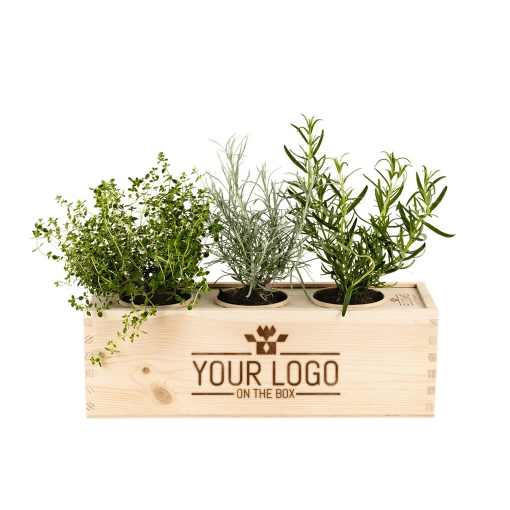 Herbs out of the Box -L